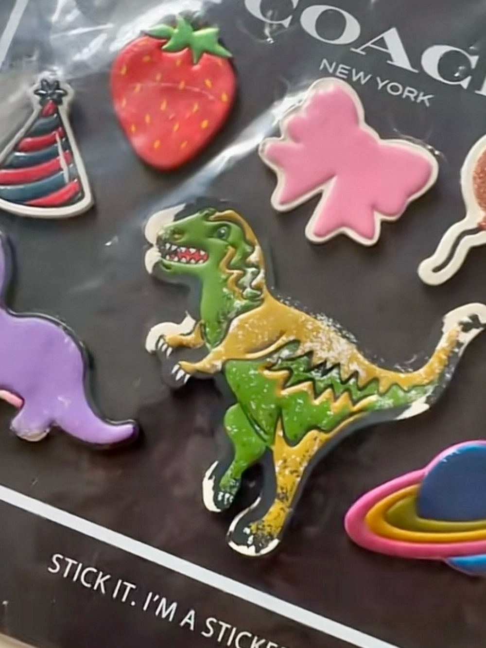 Coach Rexy collection 10th anniversary - Picture 3 of 6